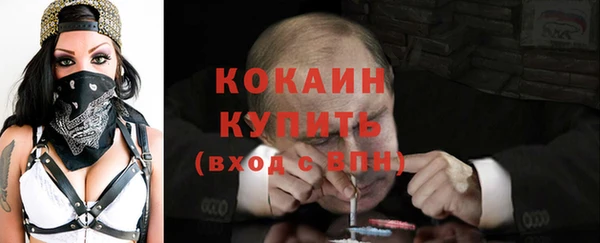 прущие грибы Арсеньев