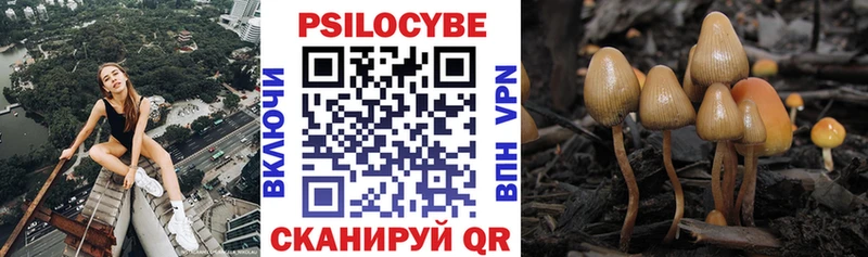 Псилоцибиновые грибы ЛСД  купить  сайты  Приморско-Ахтарск 